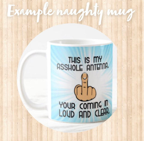 Naughty mugs